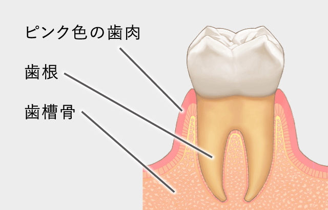 健康な状態